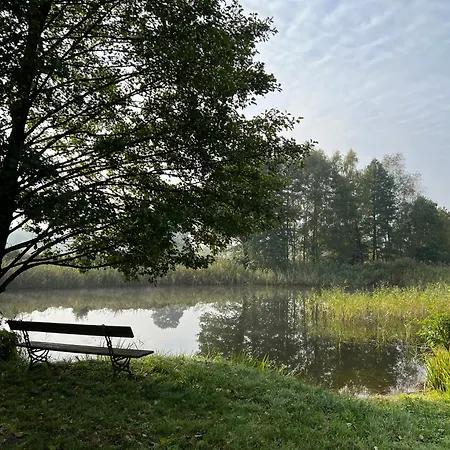 Ptasie Szepty Gloskow